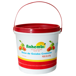 DOCE CREMOSO GOIABA ANHEMBI...