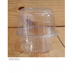 G43 - PANETONE CRISTAL PET...