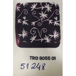 TRANSFER 29X39 TRG 8055 01 BR