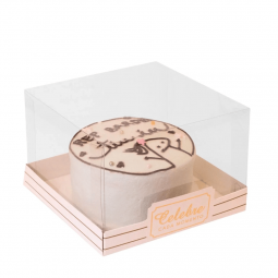 CAIXA BENTO CAKE CELEBRE C/5